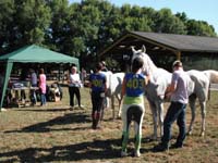 20090830_endurance_rouffignac0041