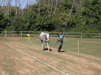 20090830_endurance_rouffignac0045