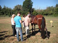 20090830_endurance_rouffignac0049