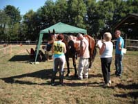 20090830_endurance_rouffignac0050