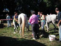 20090830_endurance_rouffignac0054