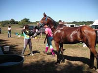 20090830_endurance_rouffignac0089