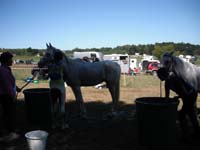20090830_endurance_rouffignac0110