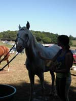 20090830_endurance_rouffignac0113