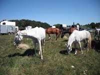 20090830_endurance_rouffignac0132