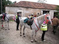 20090920_TREC_Beaurecueil_0011