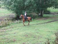 20090920_TREC_Beaurecueil_0019