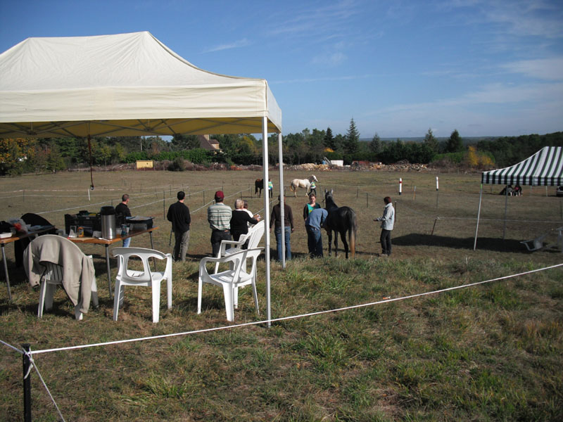 20091025_Beaumont_Endurance0016