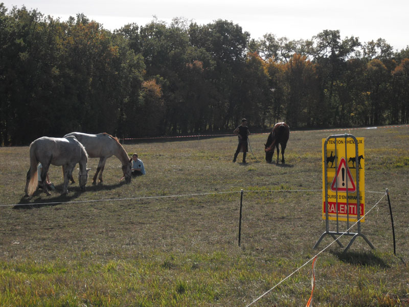 20091025_Beaumont_Endurance0066