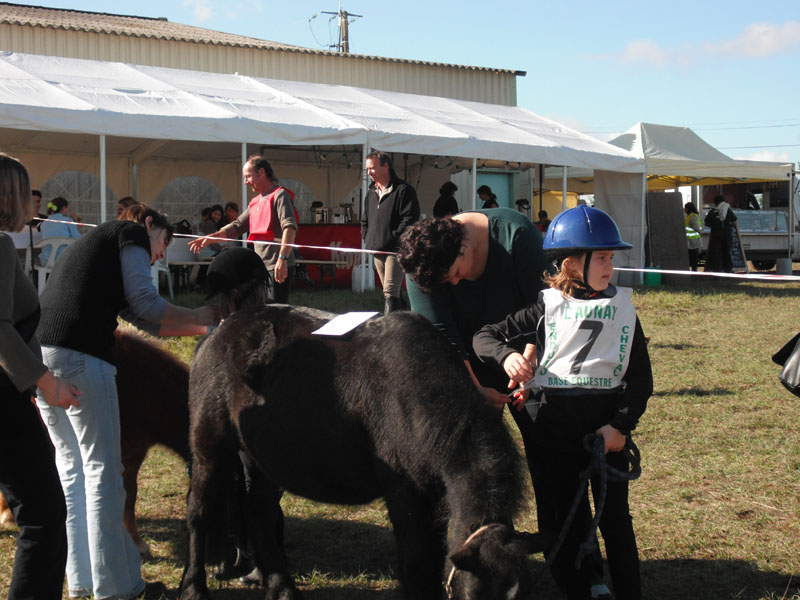 20091025_Beaumont_Endurance0084