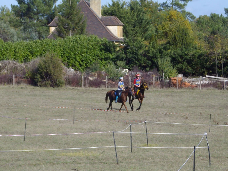 20091025_endur_cepb_poneys0013