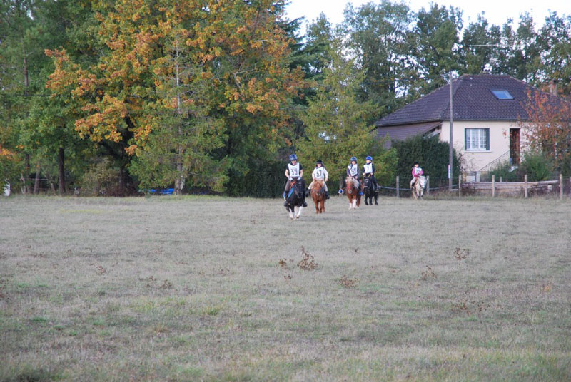 20091025_endurance_poneys_beaumont0017