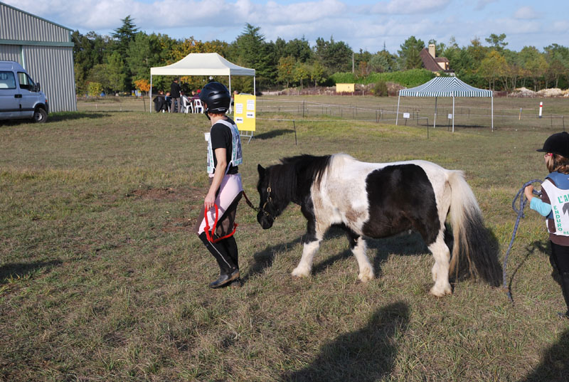 20091025_endurance_poneys_beaumont0042