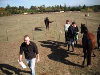 20091025_Beaumont_Endurance0033