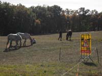 20091025_Beaumont_Endurance0066