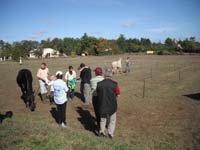 20091025_Beaumont_Endurance0068