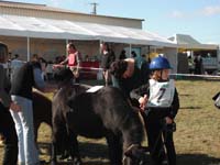 20091025_Beaumont_Endurance0084