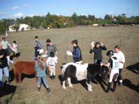 20091025_Beaumont_Endurance0097