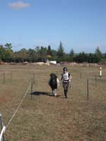 20091025_Beaumont_Endurance0113