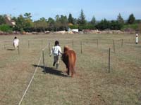 20091025_Beaumont_Endurance0115