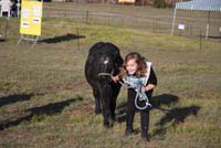 20091025_endurance_poneys_beaumont0025