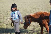 20091025_endurance_poneys_beaumont0029