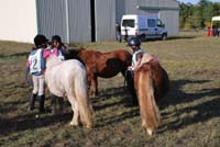 20091025_endurance_poneys_beaumont0032