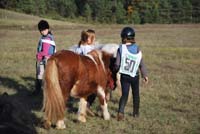 20091025_endurance_poneys_beaumont0038