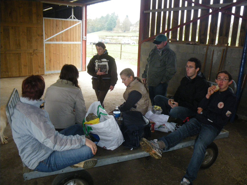 20091115_CSO_Bos_Cheval_Rouge_Laura0001