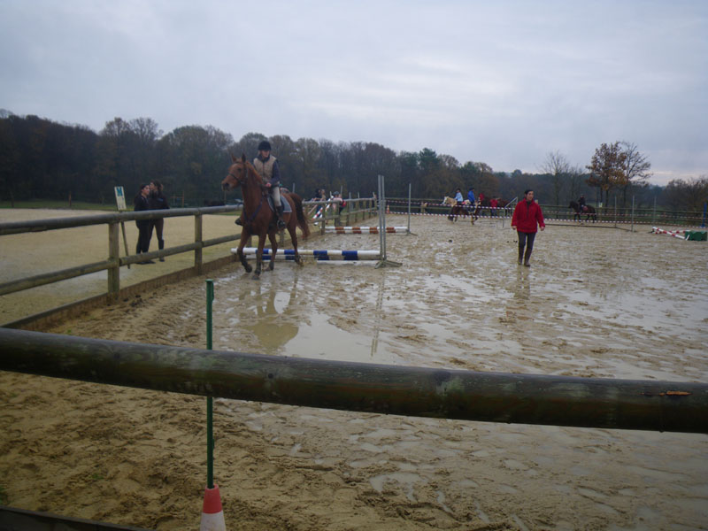 20091115_CSO_Bos_Cheval_Rouge_Laura0012