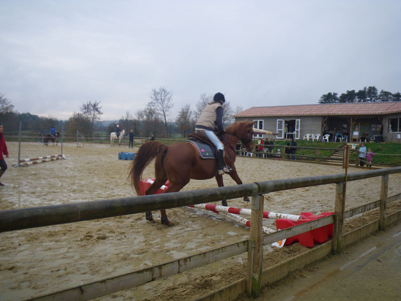 20091115_CSO_Bos_Cheval_Rouge_Laura0013