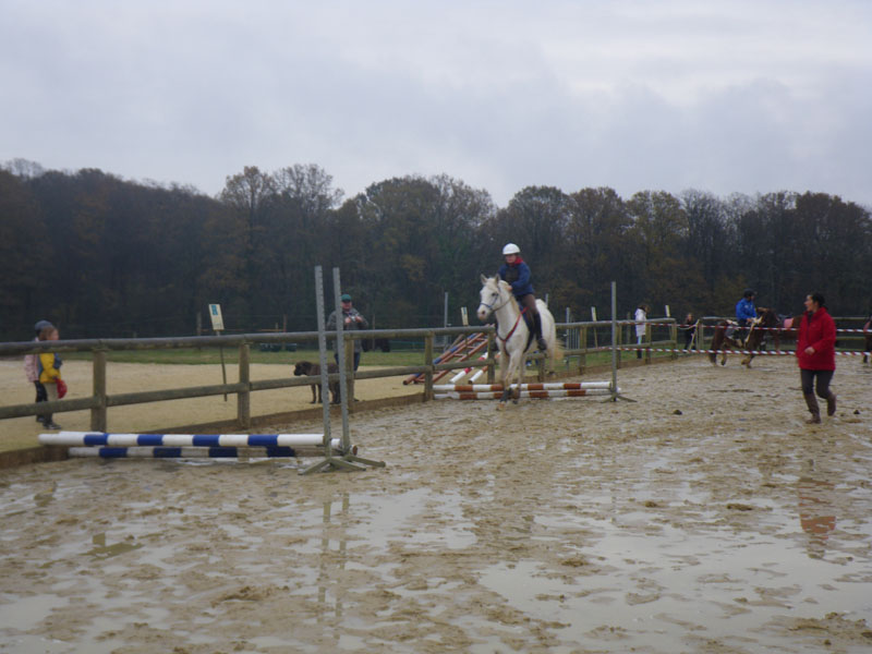 20091115_CSO_Bos_Cheval_Rouge_Laura0015