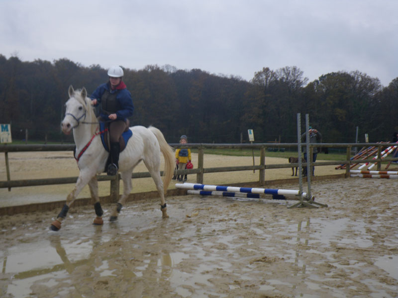 20091115_CSO_Bos_Cheval_Rouge_Laura0016