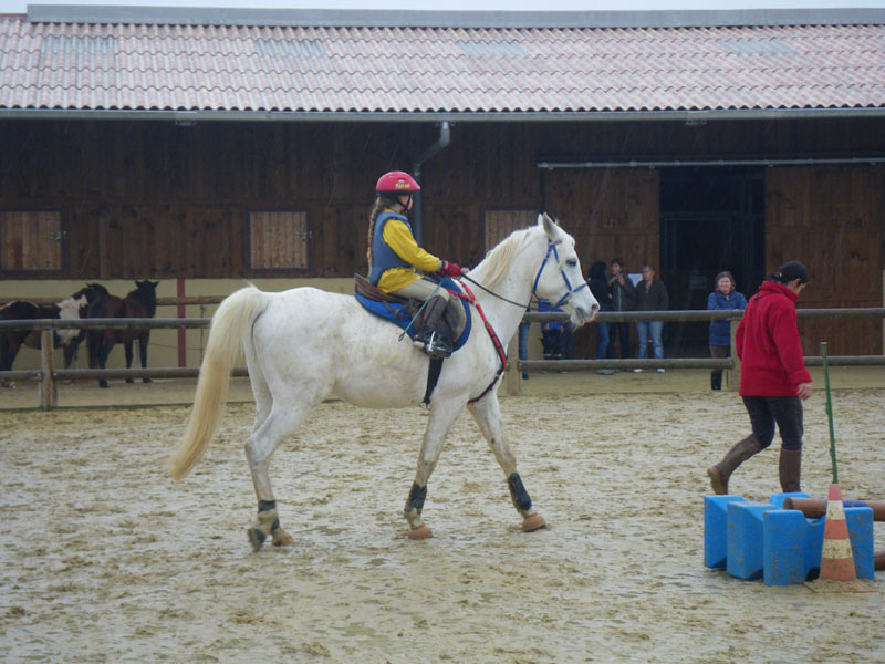 20091115_CSO_Bos_Cheval_Rouge_Laura0027