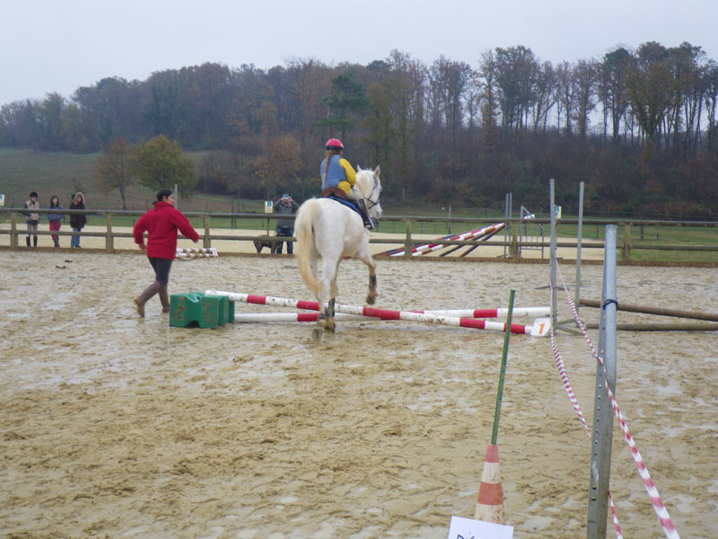 20091115_CSO_Bos_Cheval_Rouge_Laura0029