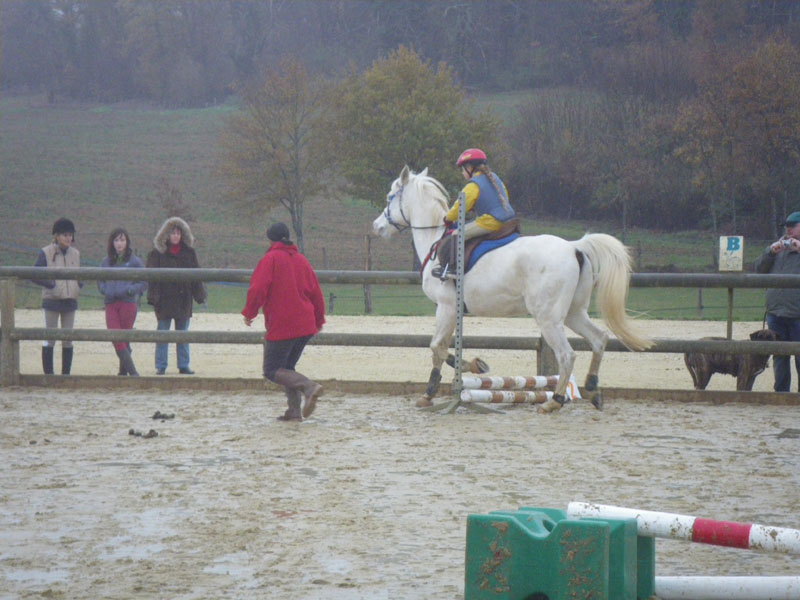 20091115_CSO_Bos_Cheval_Rouge_Laura0030