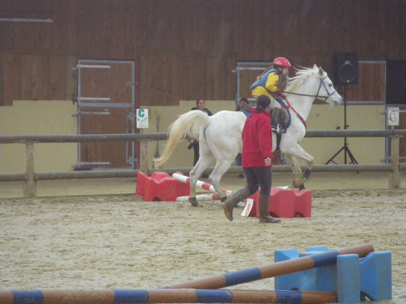 20091115_CSO_Bos_Cheval_Rouge_Laura0035