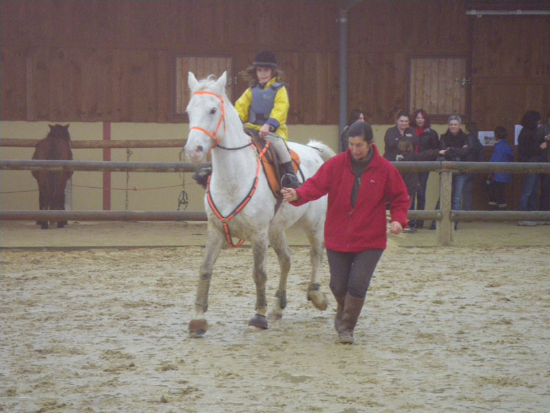 20091115_CSO_Bos_Cheval_Rouge_Laura0037