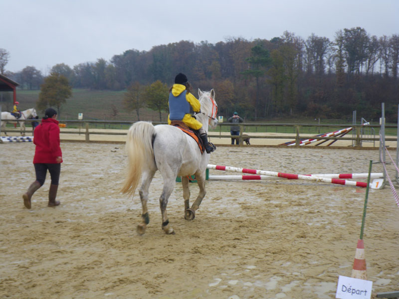 20091115_CSO_Bos_Cheval_Rouge_Laura0038