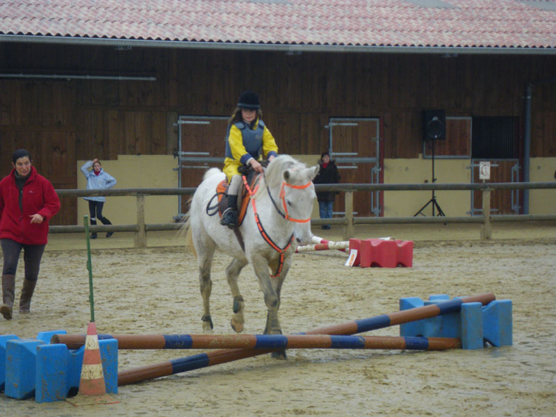 20091115_CSO_Bos_Cheval_Rouge_Laura0040