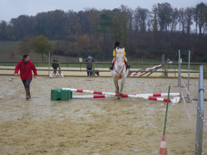 20091115_CSO_Bos_Cheval_Rouge_Laura0042