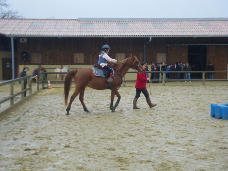 20091115_CSO_Bos_Cheval_Rouge_Laura0045