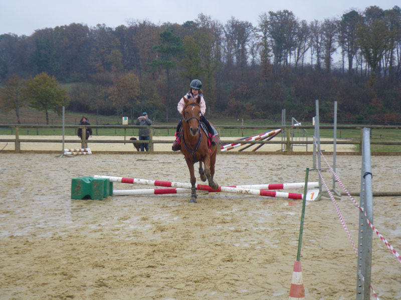 20091115_CSO_Bos_Cheval_Rouge_Laura0052