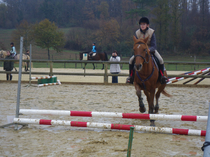 20091115_CSO_Bos_Cheval_Rouge_Laura0073