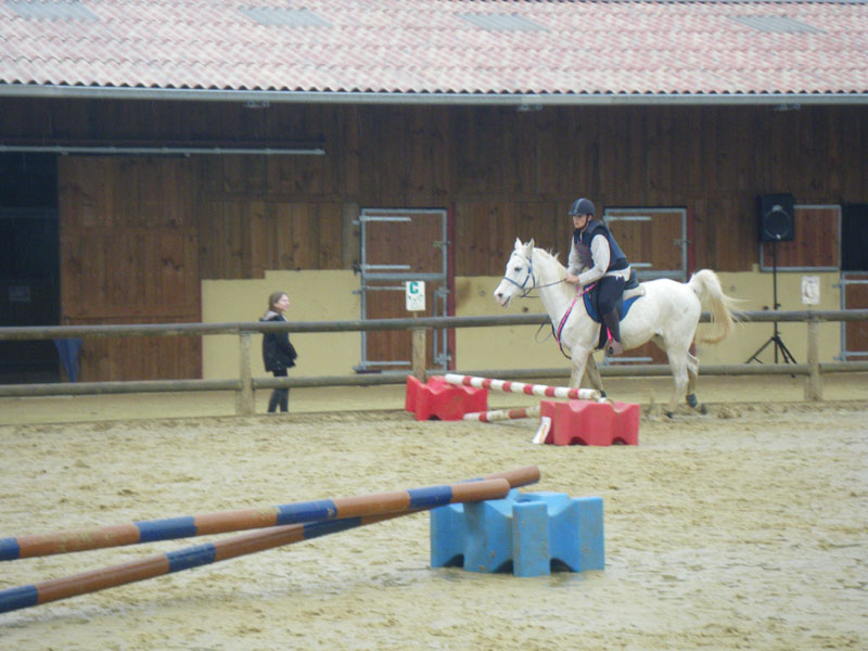 20091115_CSO_Bos_Cheval_Rouge_Laura0076