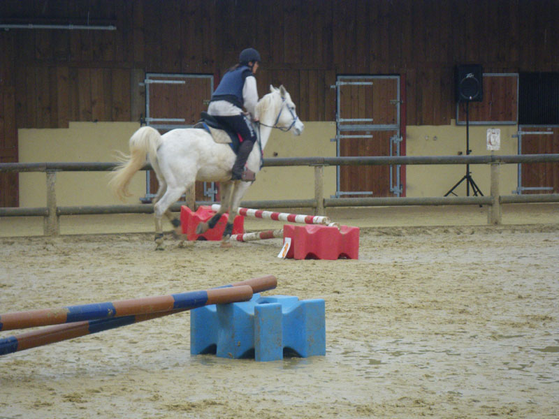 20091115_CSO_Bos_Cheval_Rouge_Laura0080