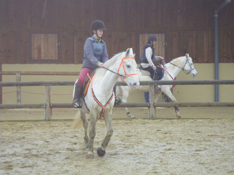 20091115_CSO_Bos_Cheval_Rouge_Laura0081