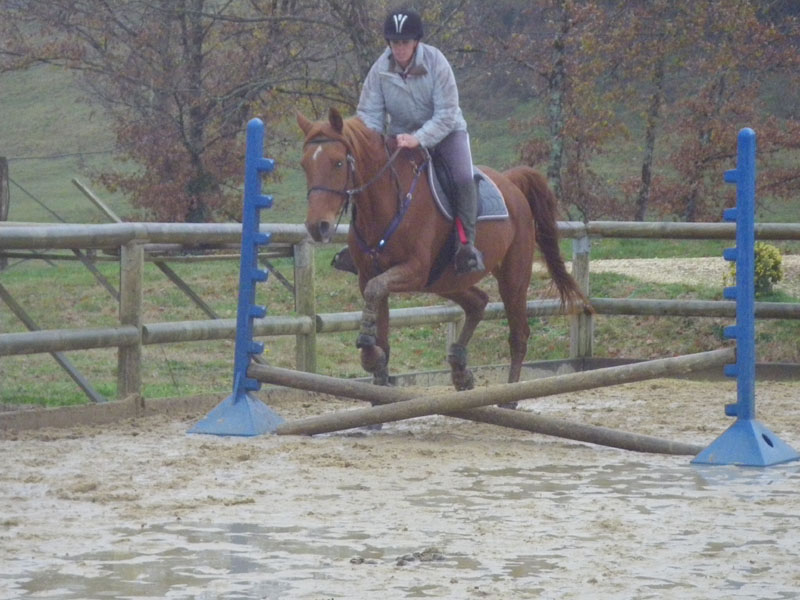 20091115_CSO_Bos_Cheval_Rouge_Laura0094