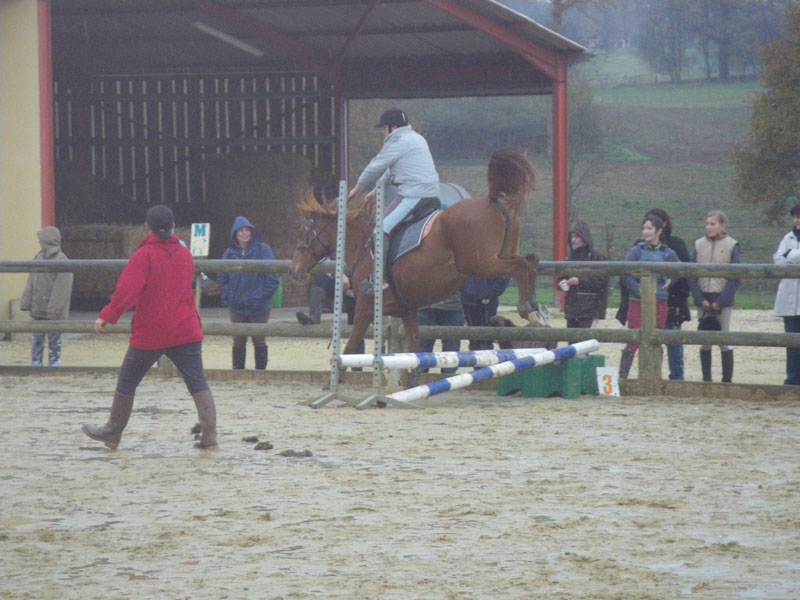 20091115_CSO_Bos_Cheval_Rouge_Laura0097