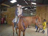 20091115_CSO_Bos_Cheval_Rouge_Laura0008
